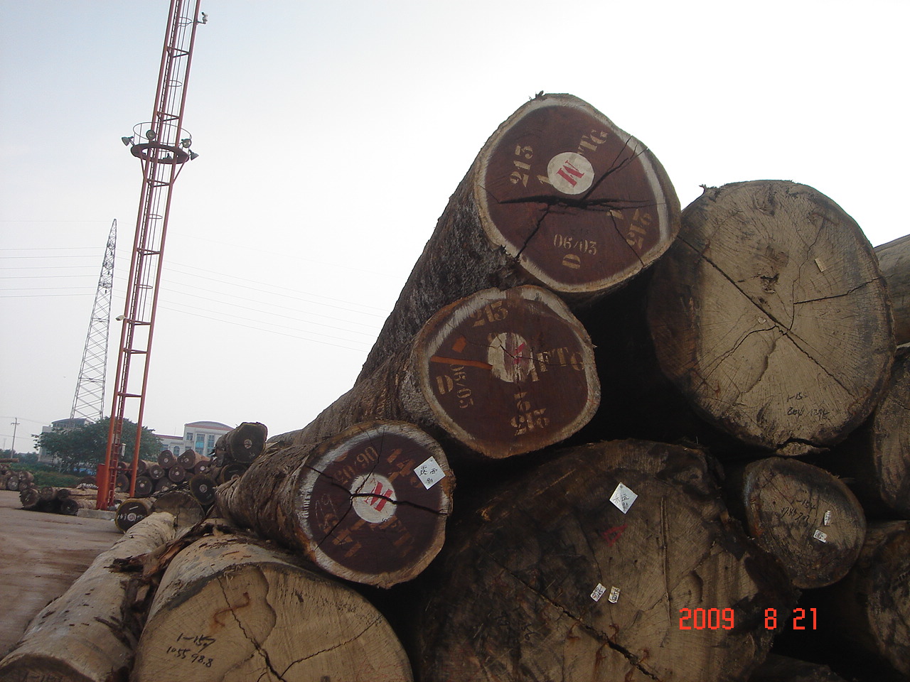  p>缅茄木,俗称:成复台,原产于加蓬,莫桑比克的优质木材,是船舶,高级