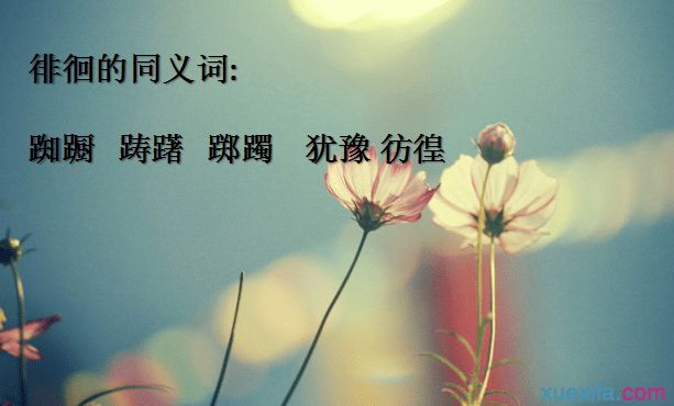  p>同义词, a href="#" data-lemmaid="2452931">汉语词汇 /a>,拼音是