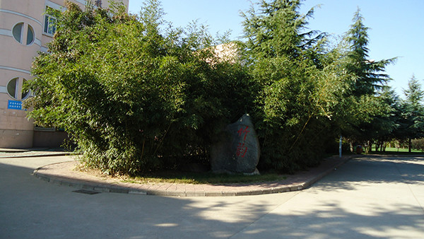 河南省宜阳县第一高级中学