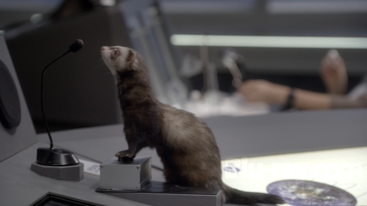  p>《太空犬》是由罗伯特·文斯执导的一部科幻/家庭类影片,狄尔里奇