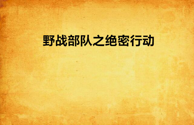 野战部队之绝密行动