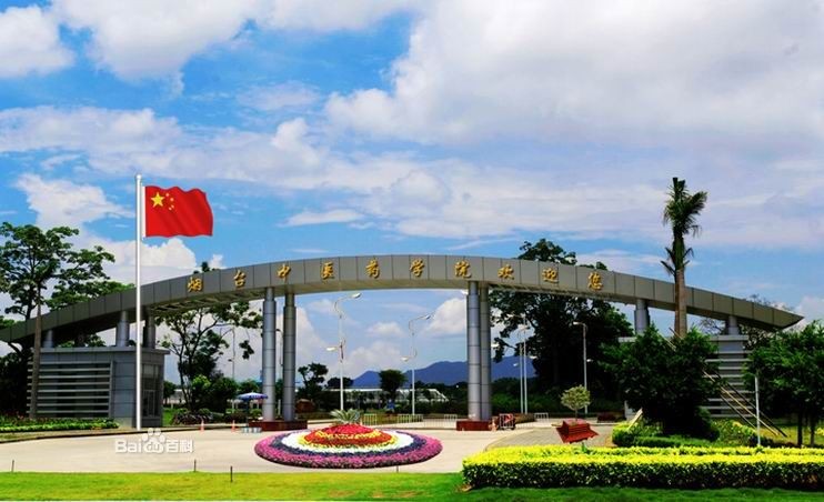 学院 (  a target="_blank" href="/item/烟台中医药学院/1539620"