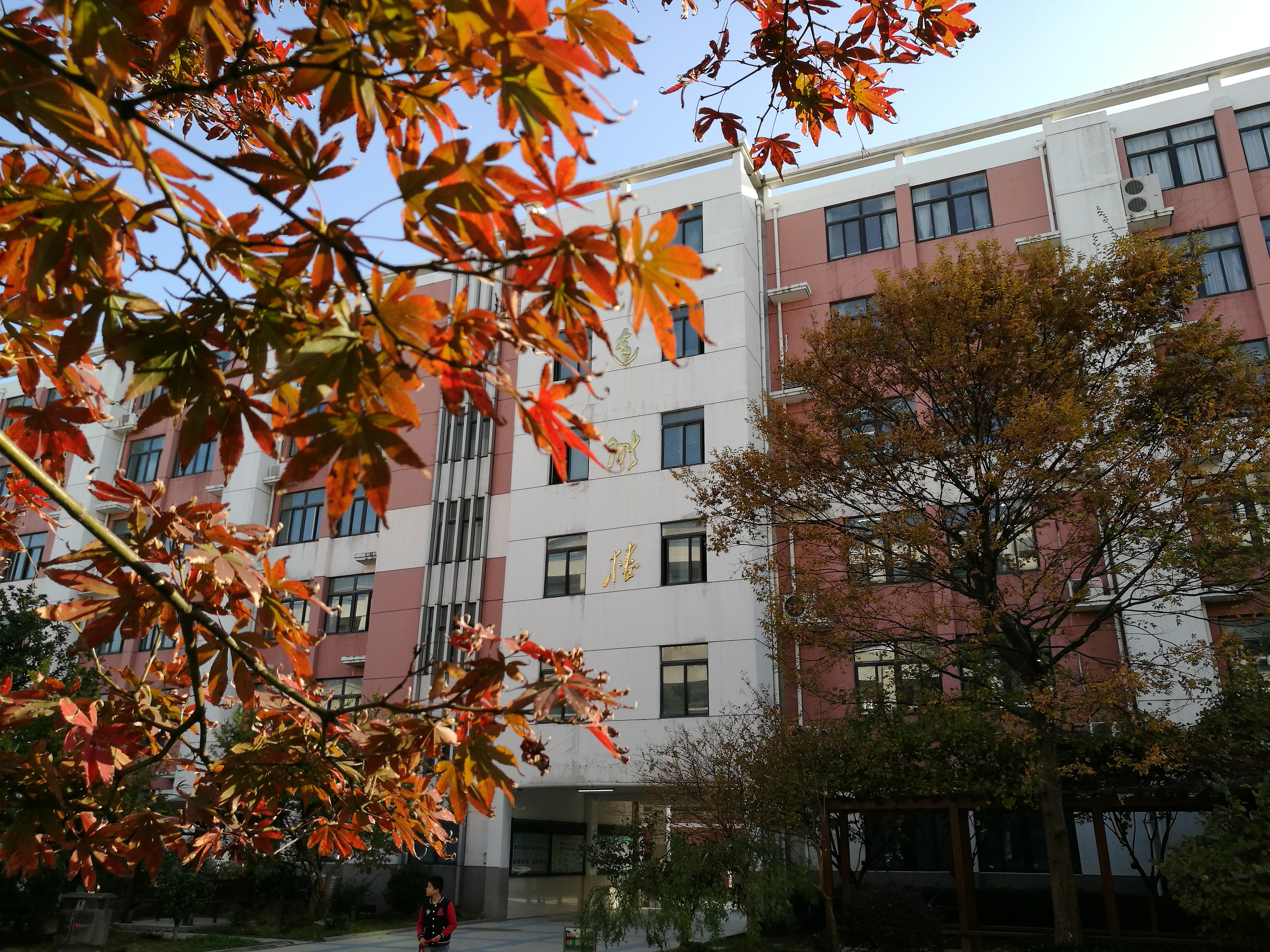  p>丹阳市云阳学校于2009年7月成立.