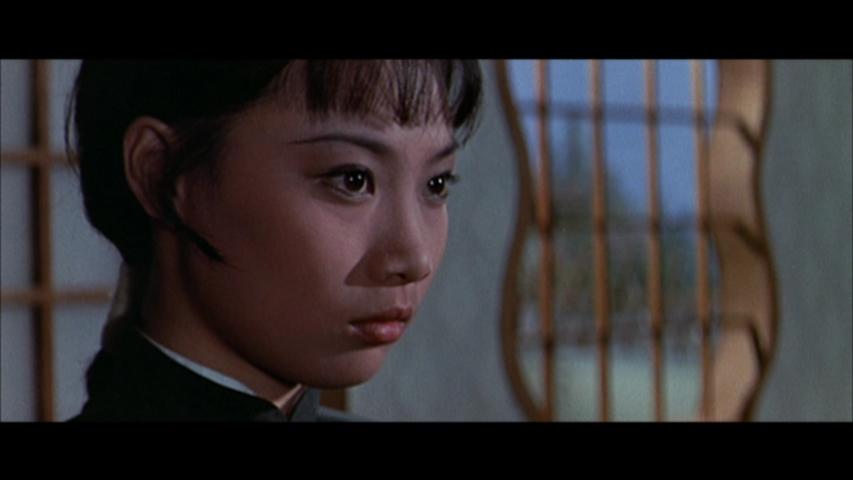 合气道hapkido(1972)