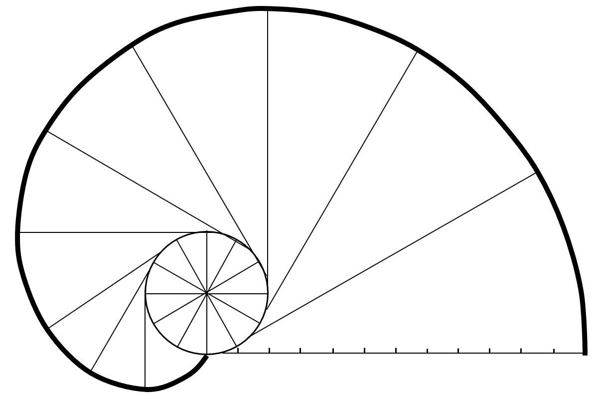 一般的渐开线指"圆的渐开线".