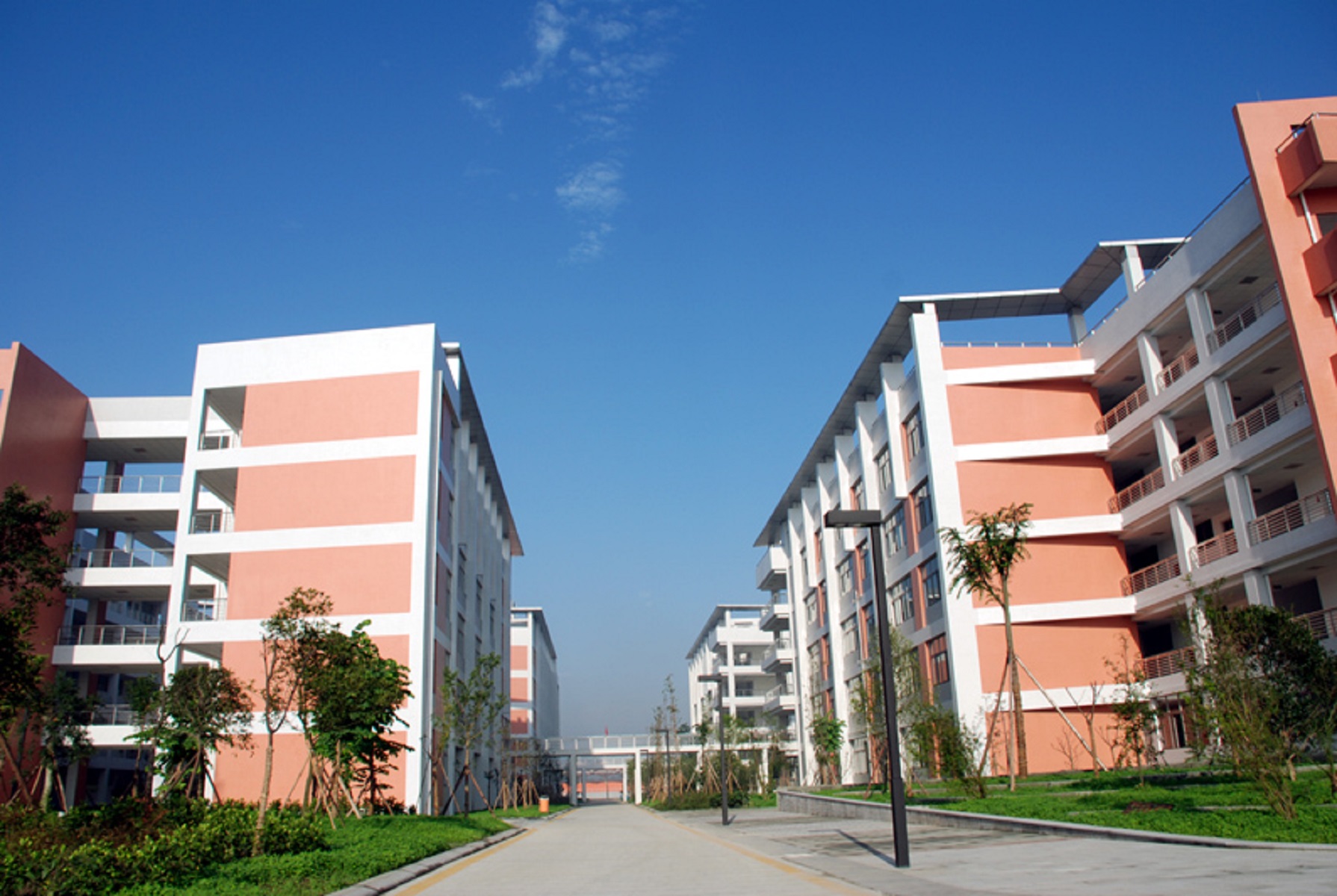 四川省成都市树德中学