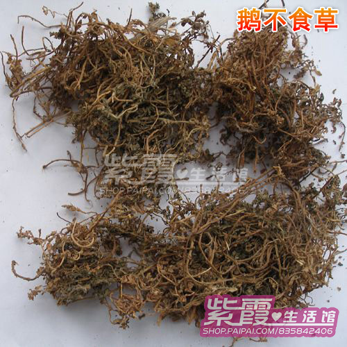 class="ref" data-ctrid="tbhba3pgs5wy">黄牛尾又名蓬子菜,是茜草科