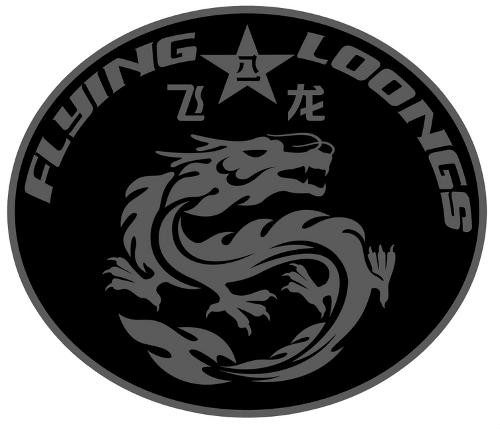  p>"飞龙"建立于1992年,部队主要进行应对非传统安全的训练,并在威胁