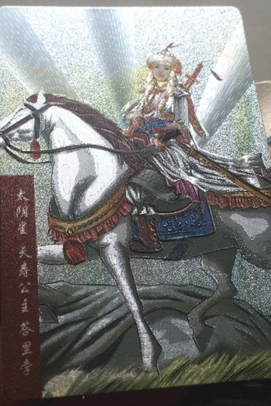 中的人物,为书中辽国政权的天寿公主,也是一员女将,辽国"十一曜"