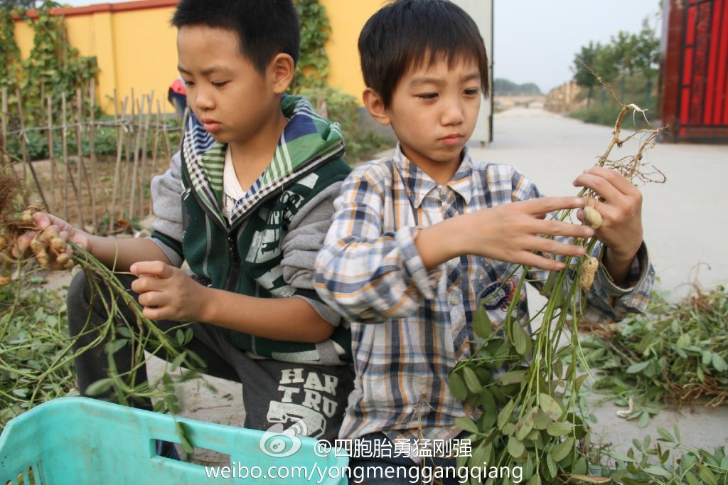 四胞胎勇猛刚强