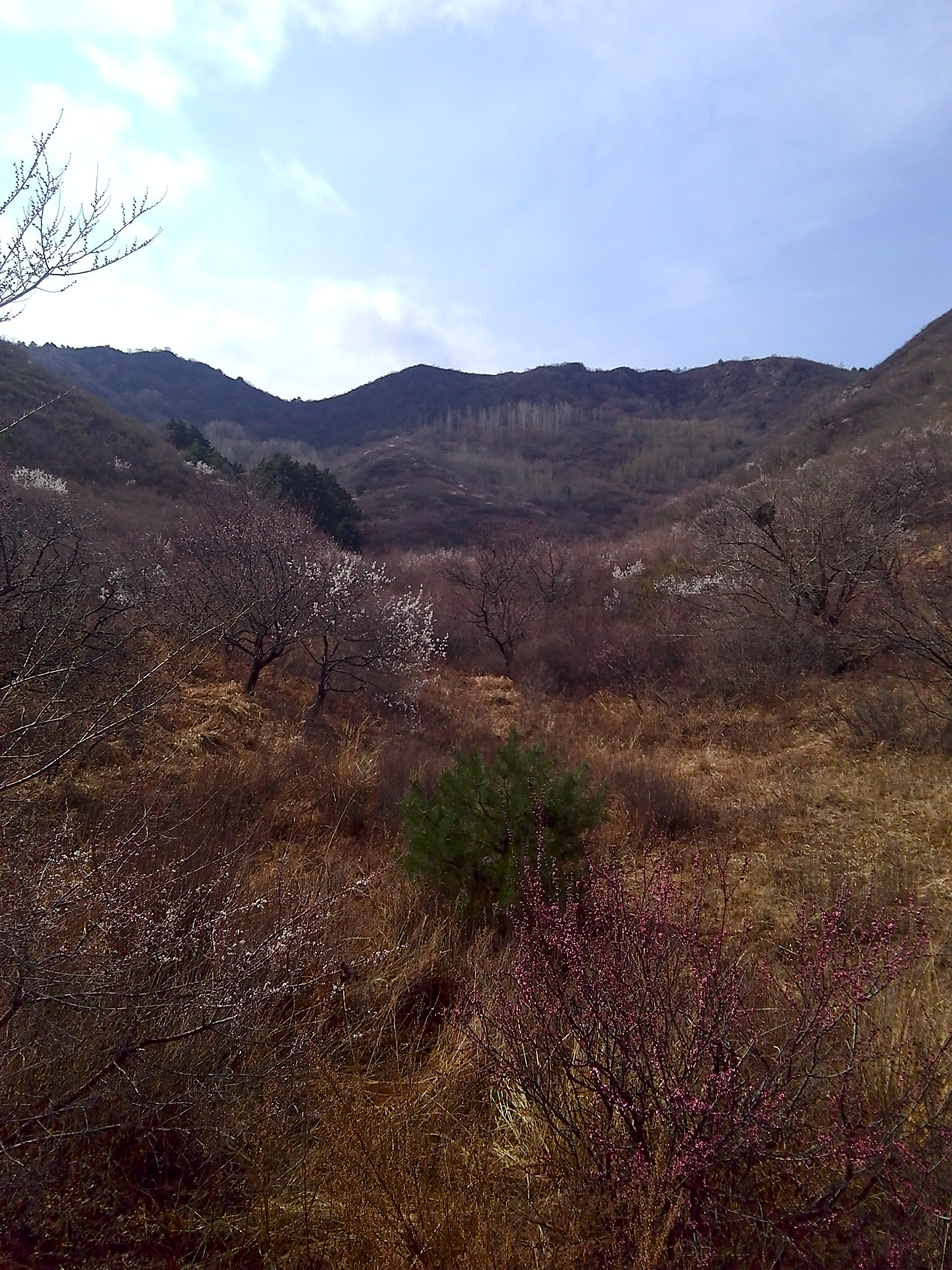  p data-id="gnb4knz9c3">辽宁天秀山森林公园位于享有"辽西第一村"