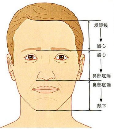 经培养后按照自然的头发生长方向艺术化地移植于患者前额部位