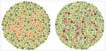  p>红绿色盲(daltonism, red-green colorblindness, )是部分 a href=