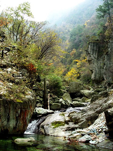  p>青川摩天岭,地处四川盆地西北边缘,龙门山西北侧,摩天岭南麓,海拔