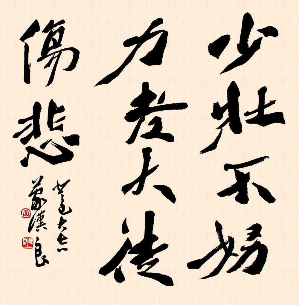 少壮不努力,老大徒伤悲