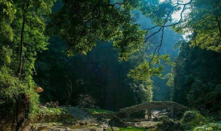 冷水河森林公园