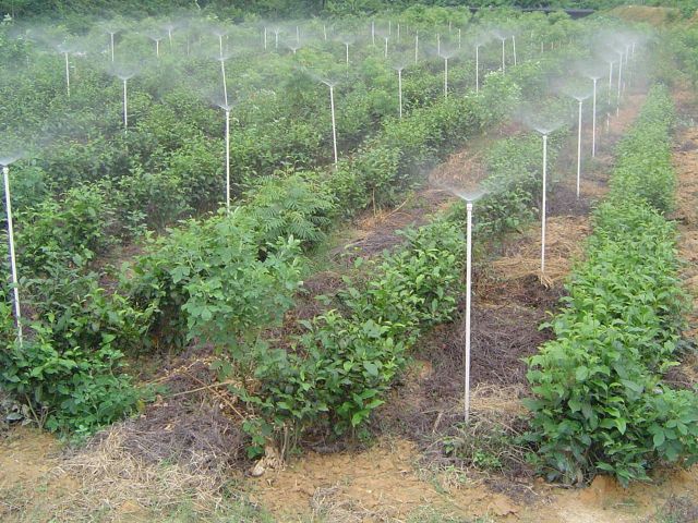 移动管道式喷灌系统