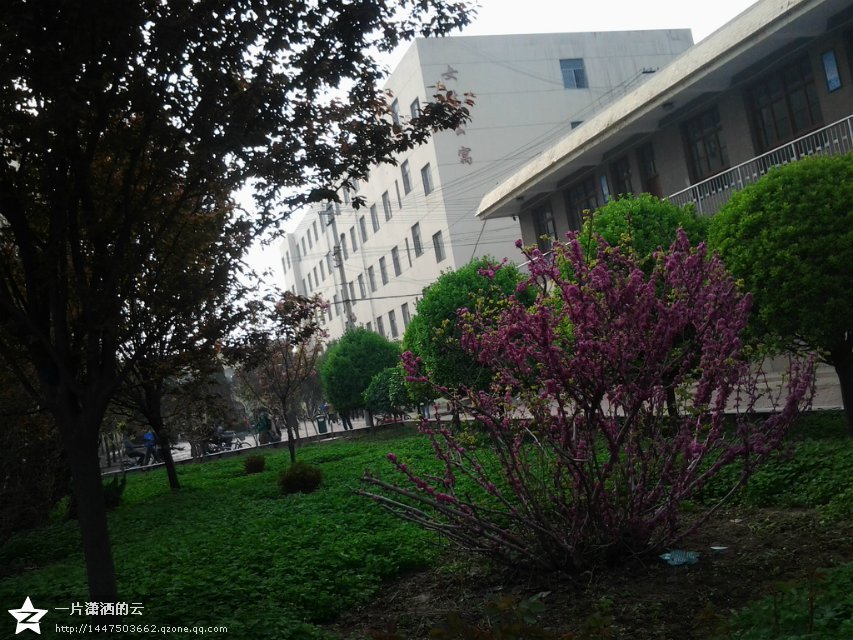 兴平市南郊高级中学