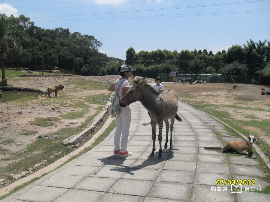 厦门海沧动物园
