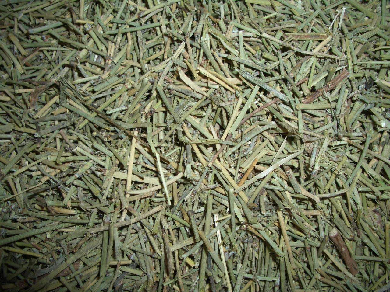  p>中麻黄(学名: i>ephedra intermedia /i> schrenk ex mey.