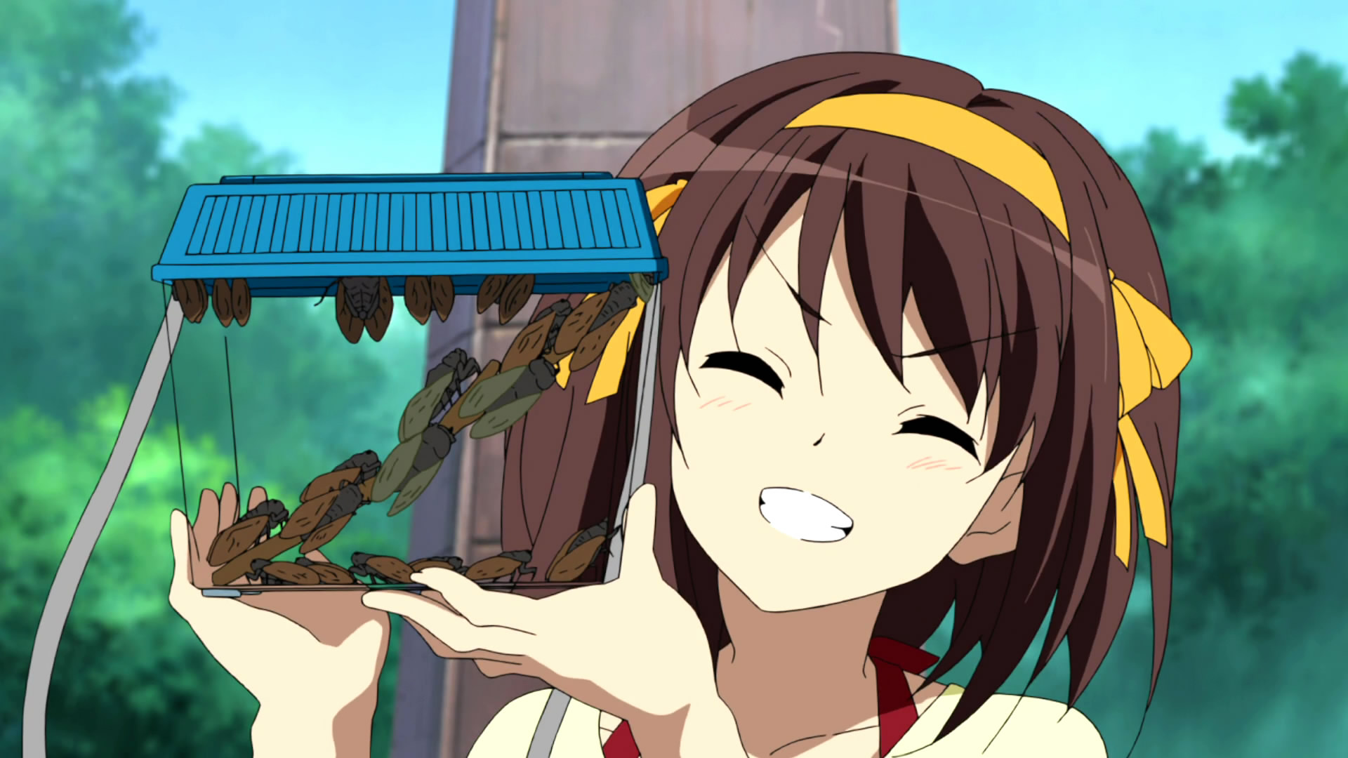  p>《 a target="_blank" href="/item/凉宫春日系列/2725153" data