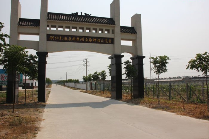  p>柴湖镇隶属于湖北省 a target="_blank" href="/item/钟祥市