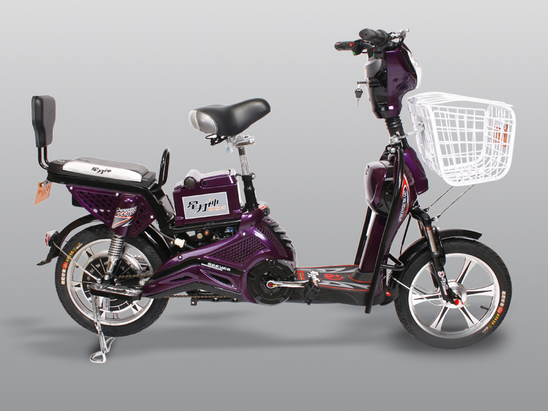 增程式电动自行车