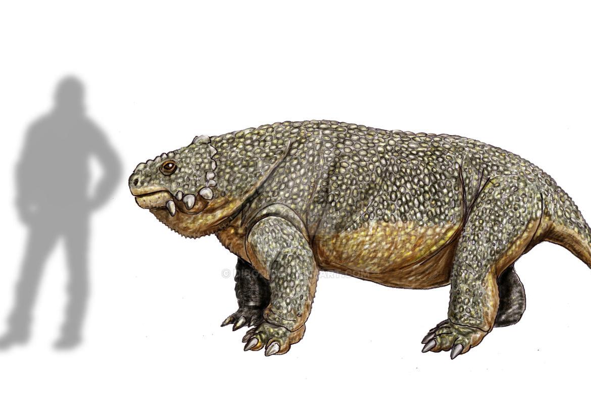  p>石千峰龙属是种已灭绝副爬行动物,是锯齿龙科的一属,生存于 a