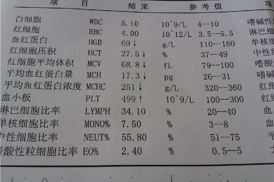 血象高一般是指血常规检查中 a target="_blank" href="/item/白细胞