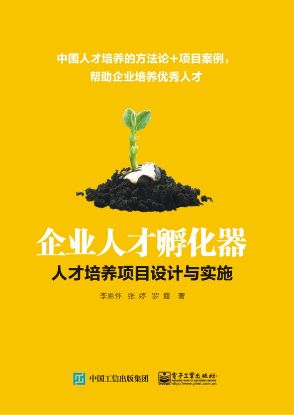 企业人才孵化器:人才培养项目设计与实施