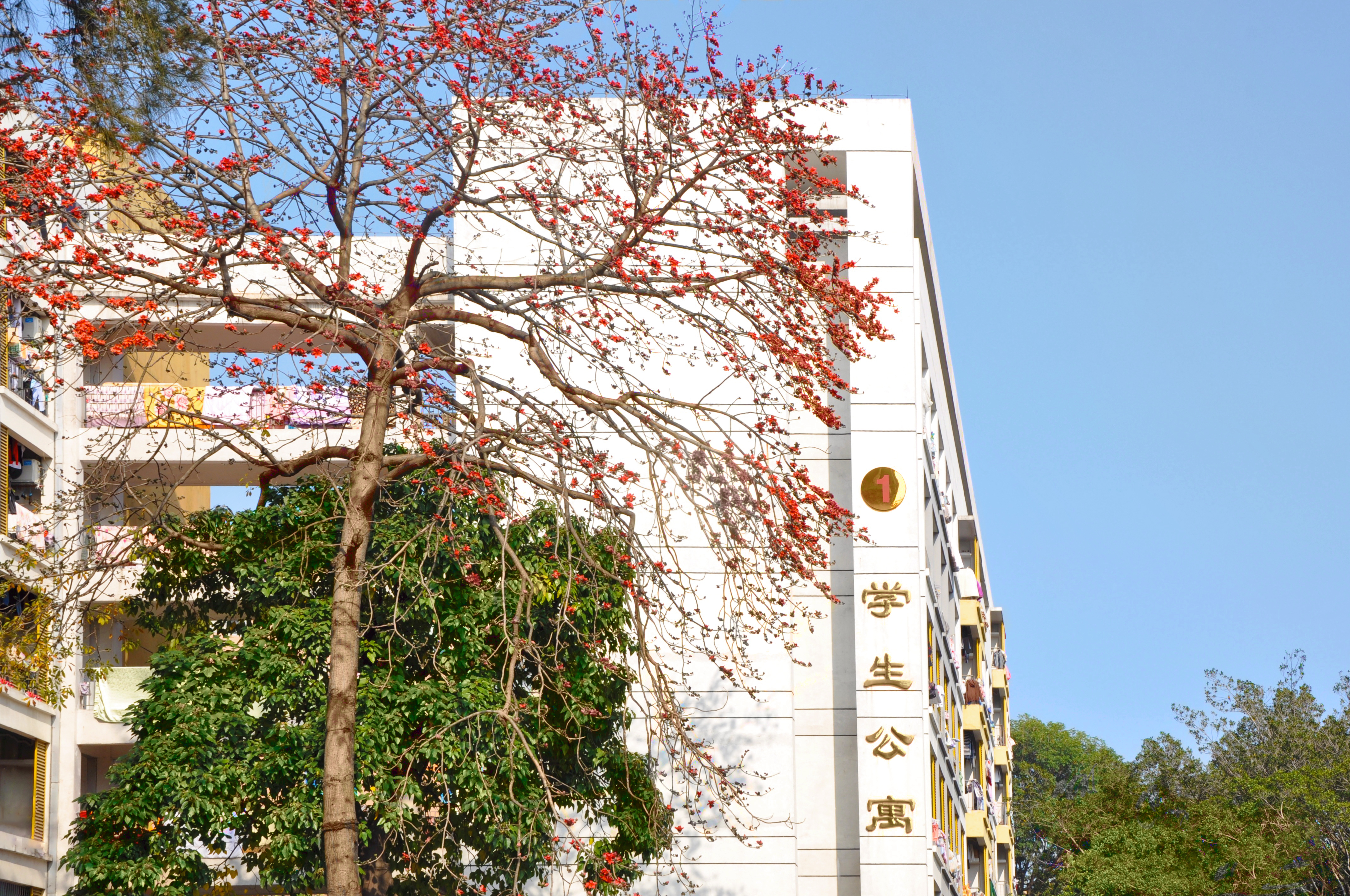 广东科职业学院