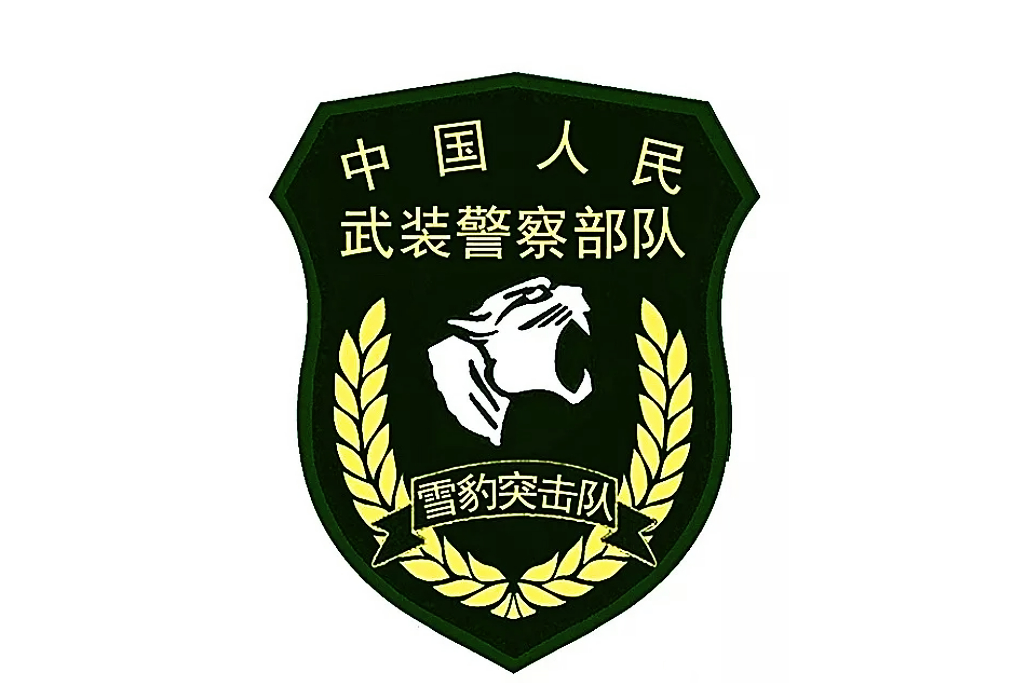 雪豹突击队