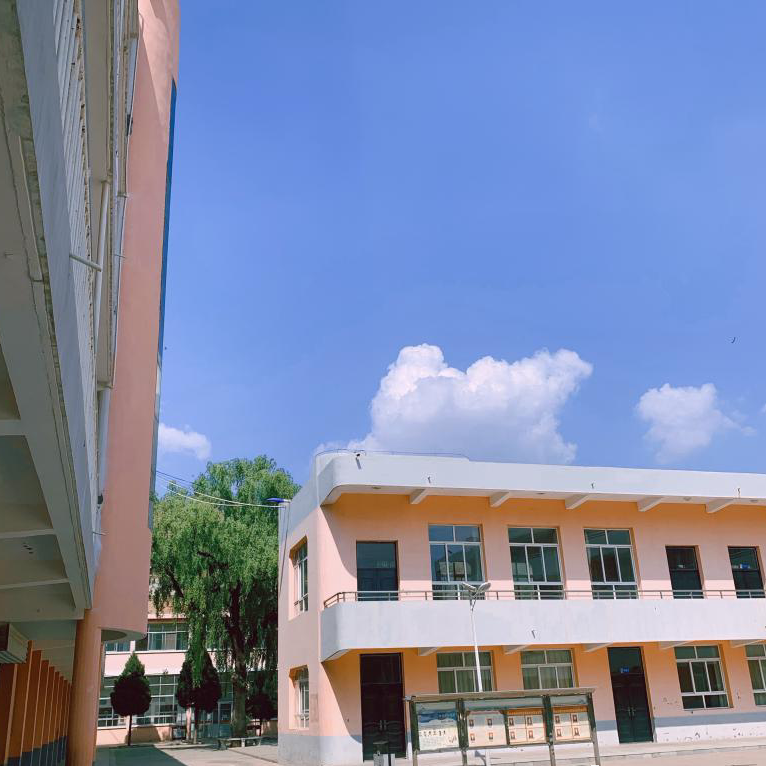 榆林市镇川中学