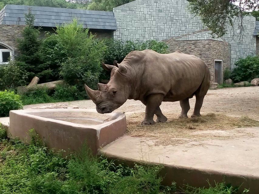 长春市动植物公园