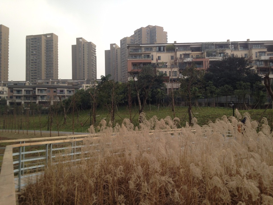 沐仙湖湿地公园