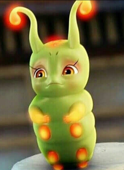 糖宝