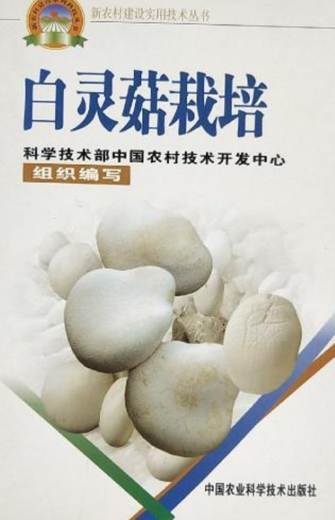 新农村建设实用技术丛书:白灵菇栽培