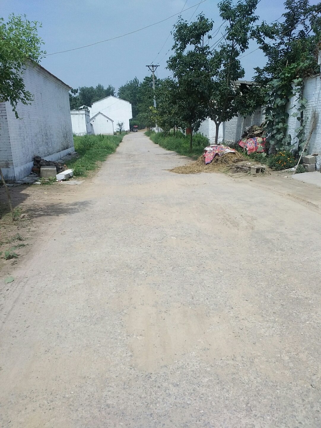 王楼村