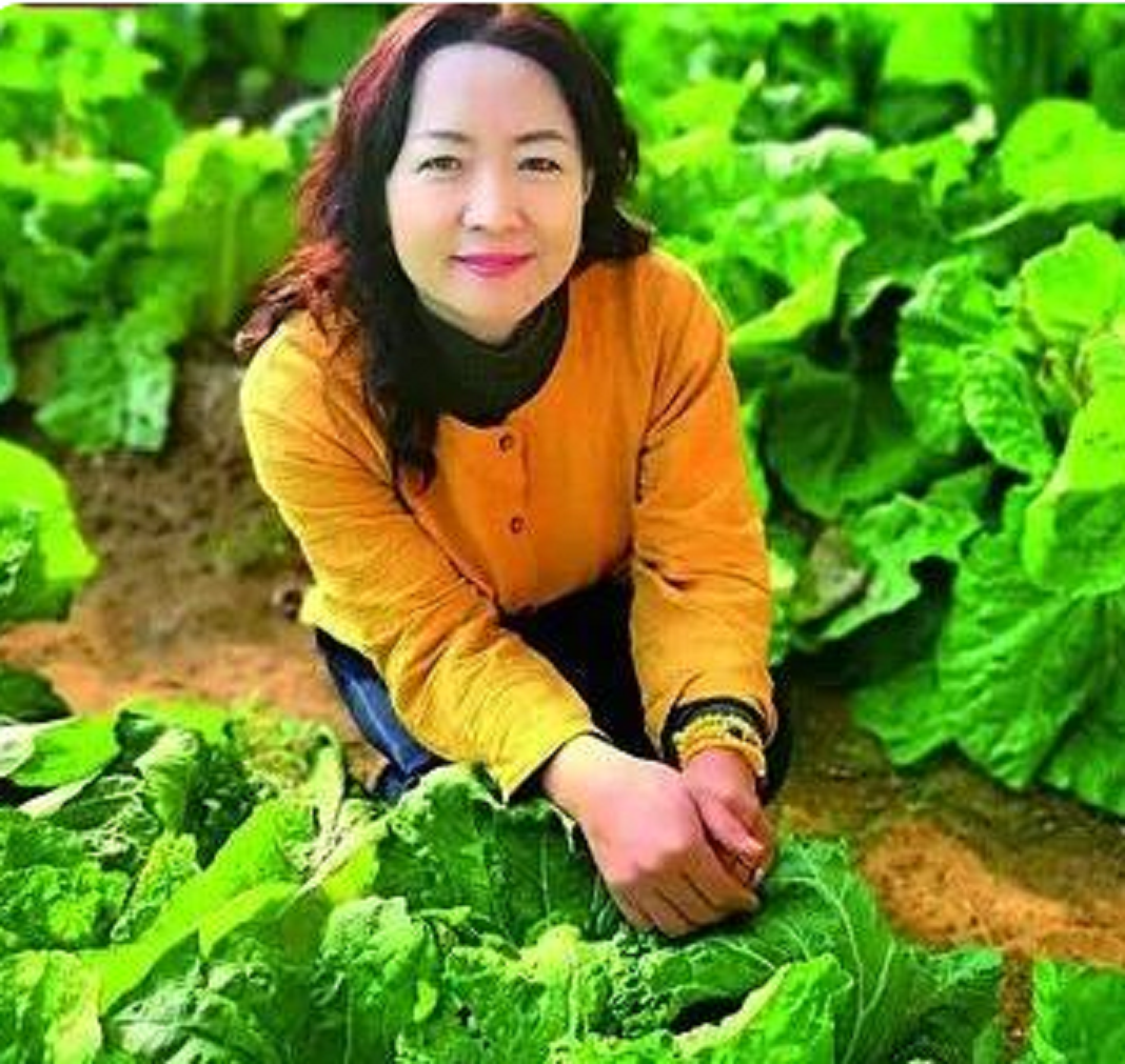  p>法月萍,女,48岁,南京大学博士,蚯蚓养殖与深加工研究专家.