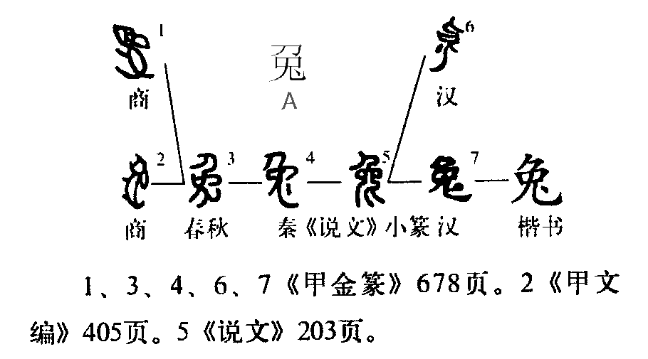 此字始见于商代甲骨文,其古字形像兔子,本义即兔形目兔科动物兔子.