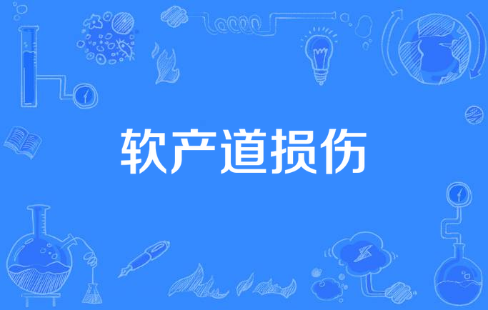  p>软产道损伤birth canal,laceration of,分娩过程中软产道(子宫下段