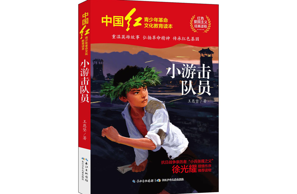 小游击队员