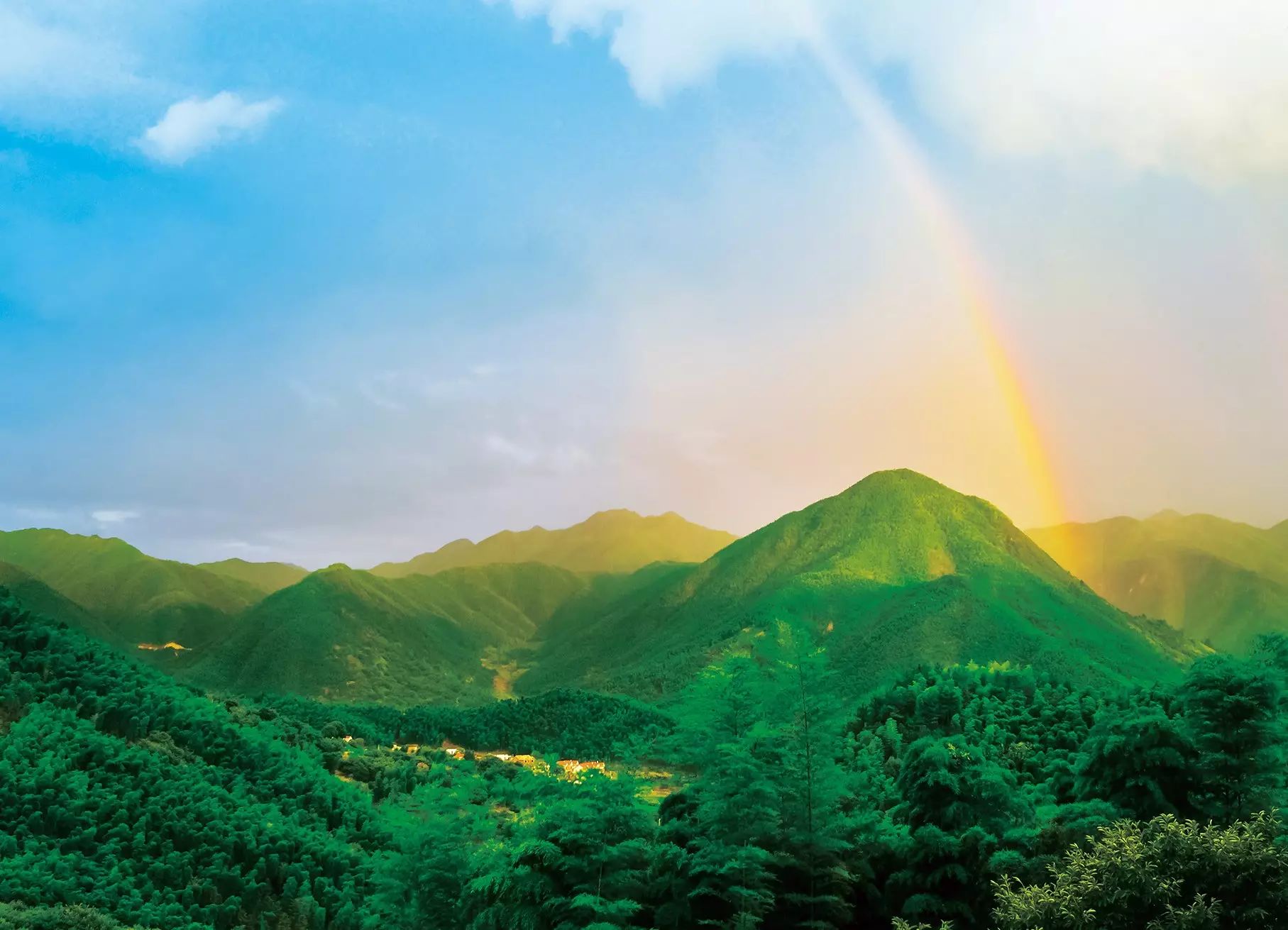 大竹海森林公园