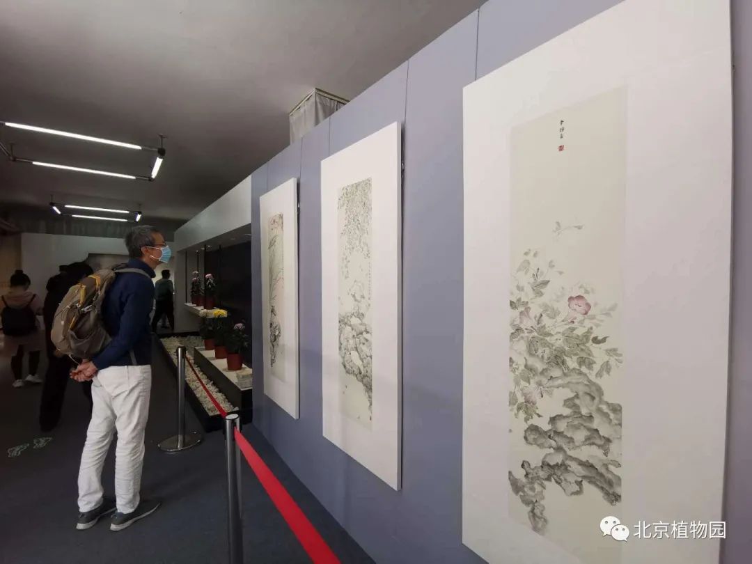北京植物园举办迎金秋名家书画展_百科TA说