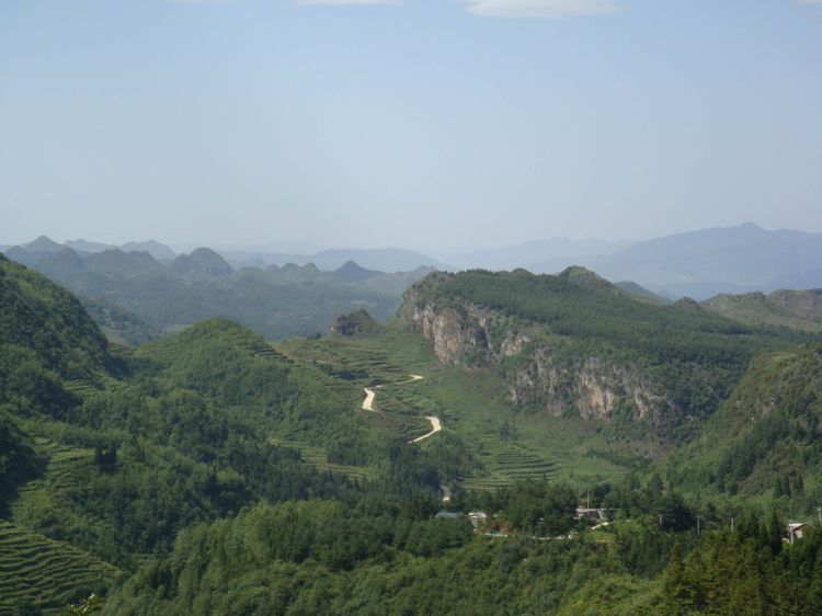 鸡场坪天气预报