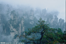 峰林景观集锦