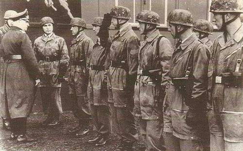  p>鹰行动是指1944年12月初纳粹伞兵空降的军事行动. /p>