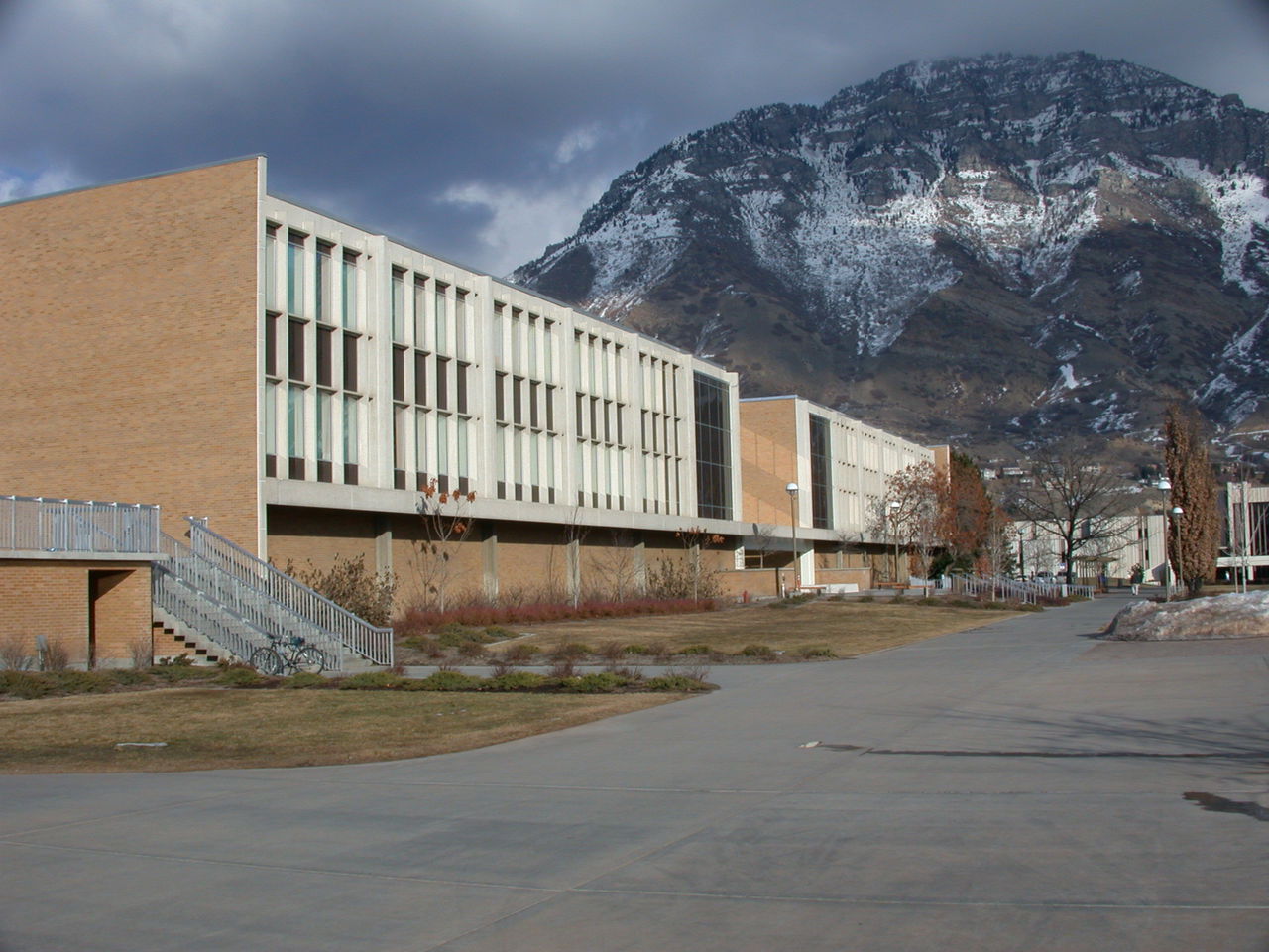 杨百翰大学
