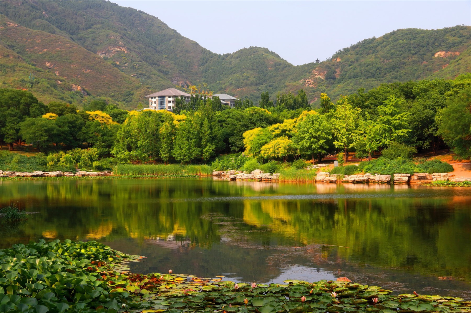  p>北京植物园位于 a target="_blank" href="/item/京西/3586866"