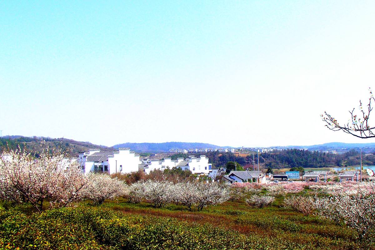 溧水傅家边农业科技园